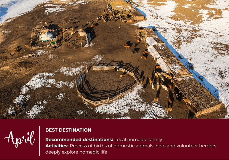 Mongolia travel calendar Events and festivals mongolia